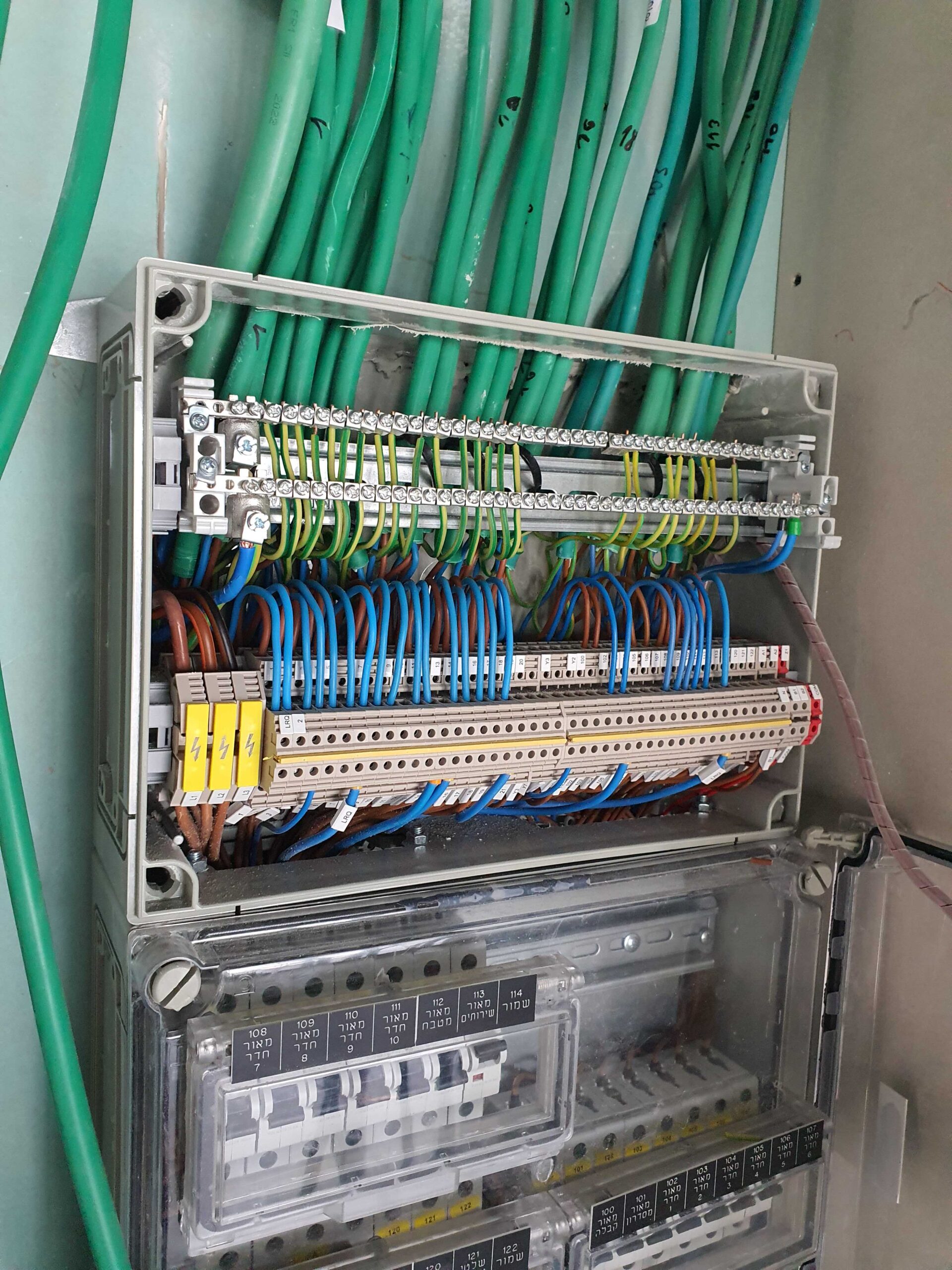 10215_optimized